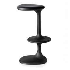 Kant, Casamania, stool
